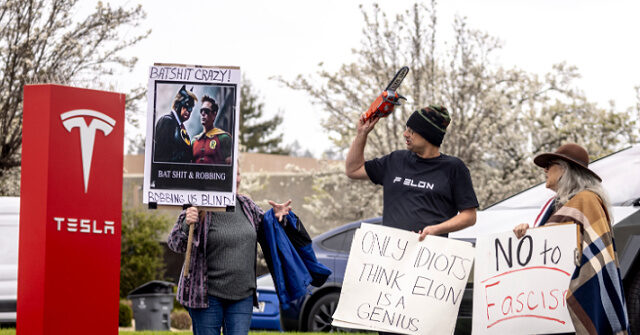 Protesters Gather Outside Tesla Showrooms over Elon Musk’s DOGE