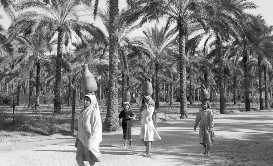 The Hawaii of Israel: How Trump legitimised a longstanding Israeli vision