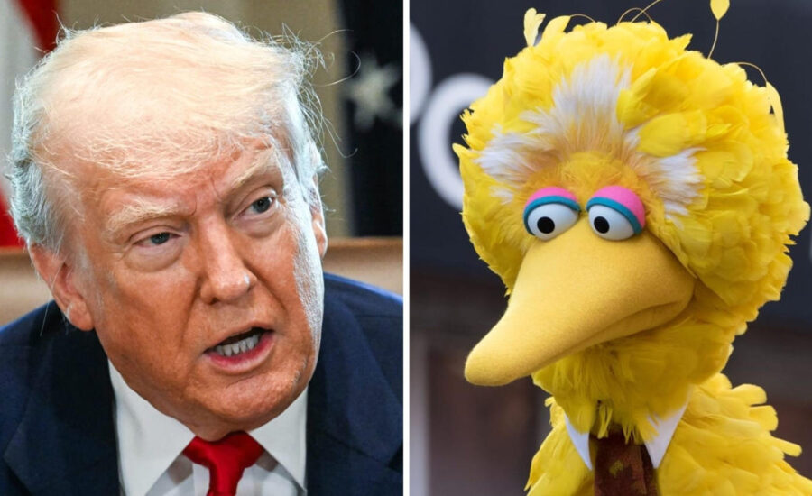 Trump is ‘attacking Big Bird’ to distract from polling numbers and economic concerns: Analyst