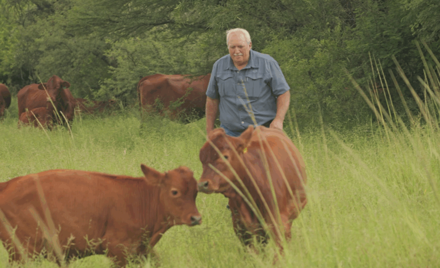 White South African farmer tells Sky News he’s elated Trump grilled his president