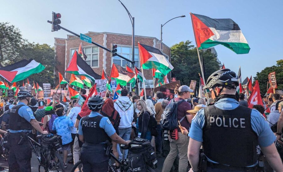 What is Project Esther, the playbook against pro-Palestine movement in US?