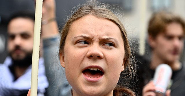 Trump Defends Israel, Slams Greta Thunberg After Gaza Blockade Incident: ‘Strange, Angry Person’