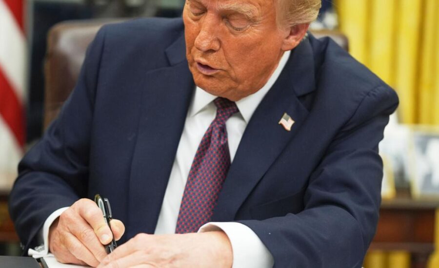 New Hampshire judge to pause Trump’s birthright citizenship order