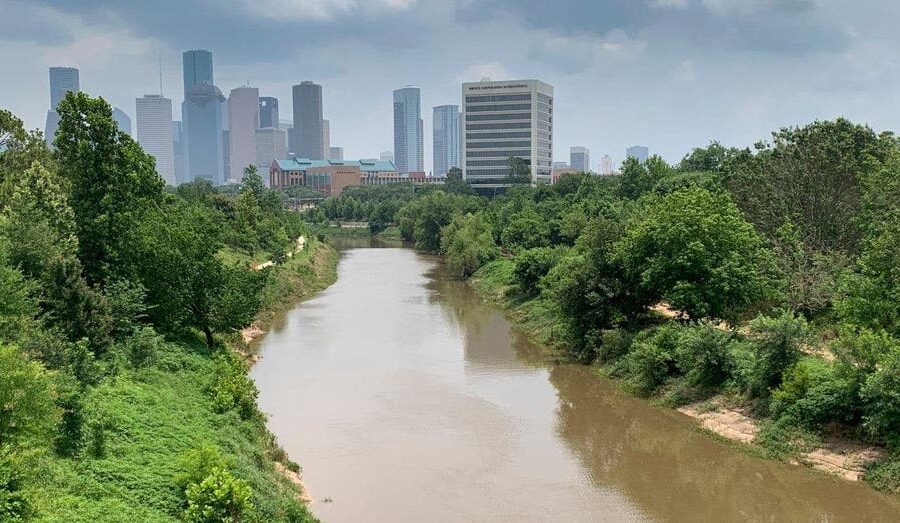 DOGE prepares to literally drain the swamp by banishing Biden’s ‘overreaching’ water rule