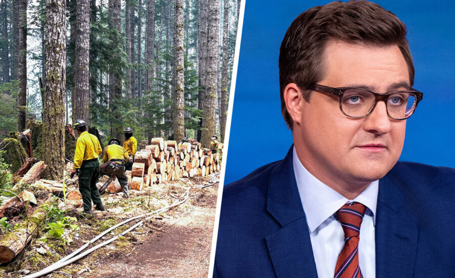 Trump’s immigration crackdown sweeps up 2 firefighters battling a wildfire in Washington state