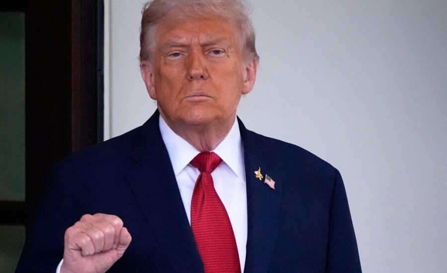 Trump to put import taxes on pharmaceutical drugs, kitchen cabinets, furniture and heavy trucks