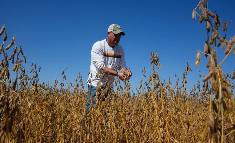 US soybean farmers caught in Trump’s trade battle with China
