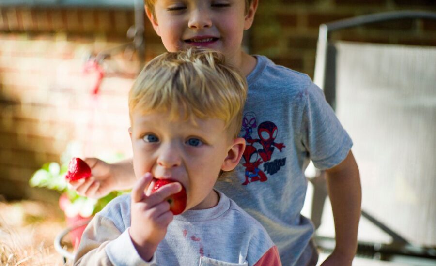 WIC program gets Trump tariff money to run during shutdown