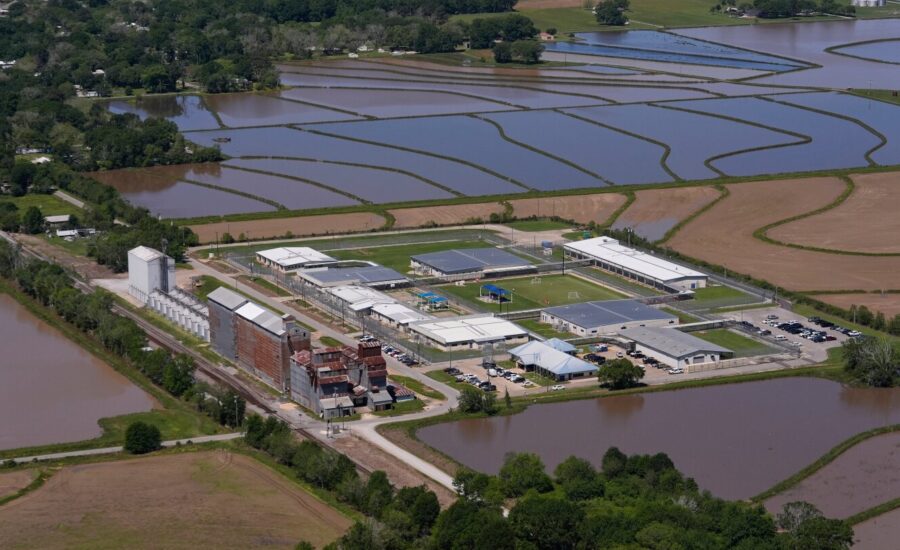 Pregnant women in US detention report inadequate care under Trump