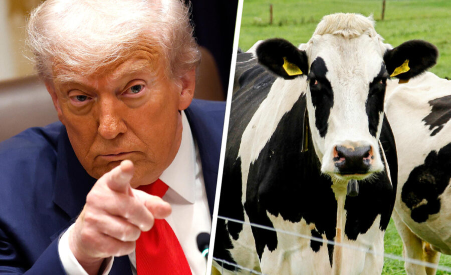 Some of Trump’s most loyal voters are now feeling the sting of his betrayal