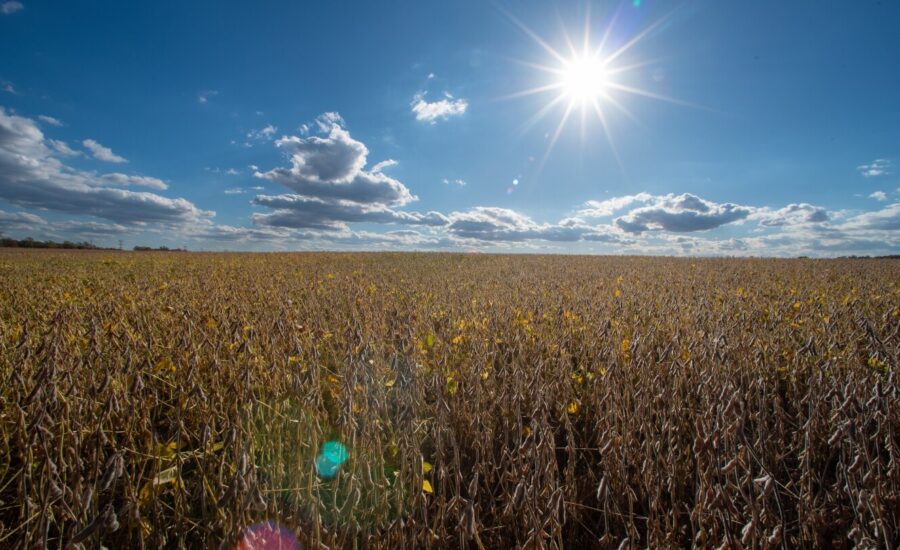 4 Republicans back Senate resolution to undo Trump’s tariffs