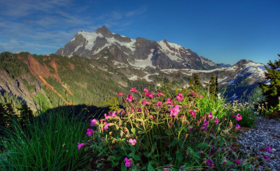 US national parks drop free admission on MLK Day and Juneteenth, but add Trump’s birthday