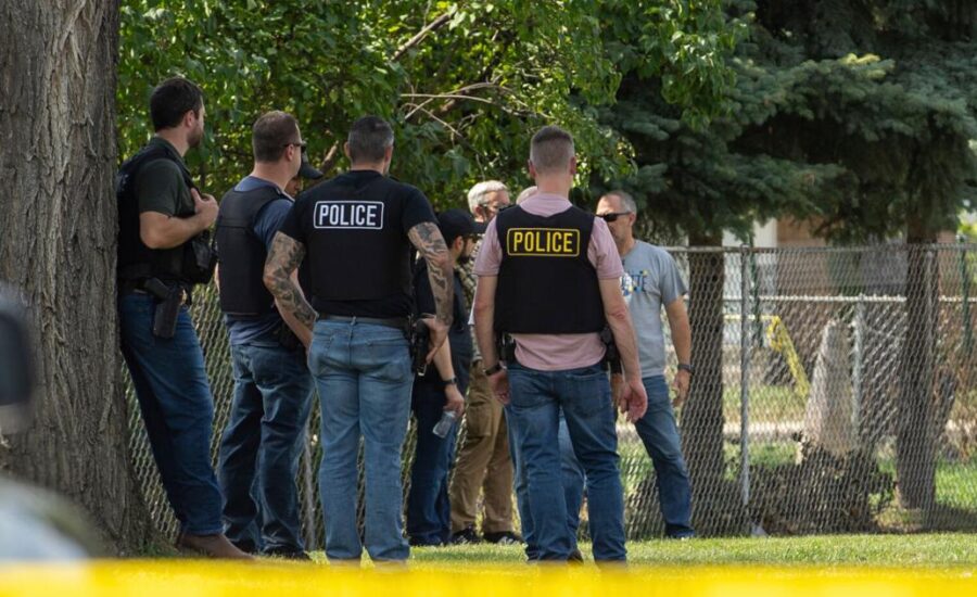 Driver shot in Minneapolis is at least the fifth person killed in US immigration crackdown