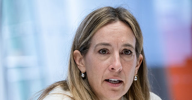 Sherrill: ‘Don’t See What the Point of’ Having Working Relationship With Trump Is