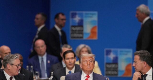 Top Republicans Rally Around Trump, Question Point of ‘Feckless’ and ‘Weak’ NATO Allies