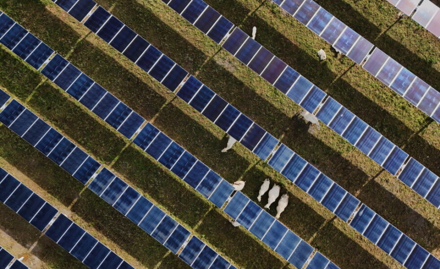 Solar power beats coal for electricity generation despite Trump policies